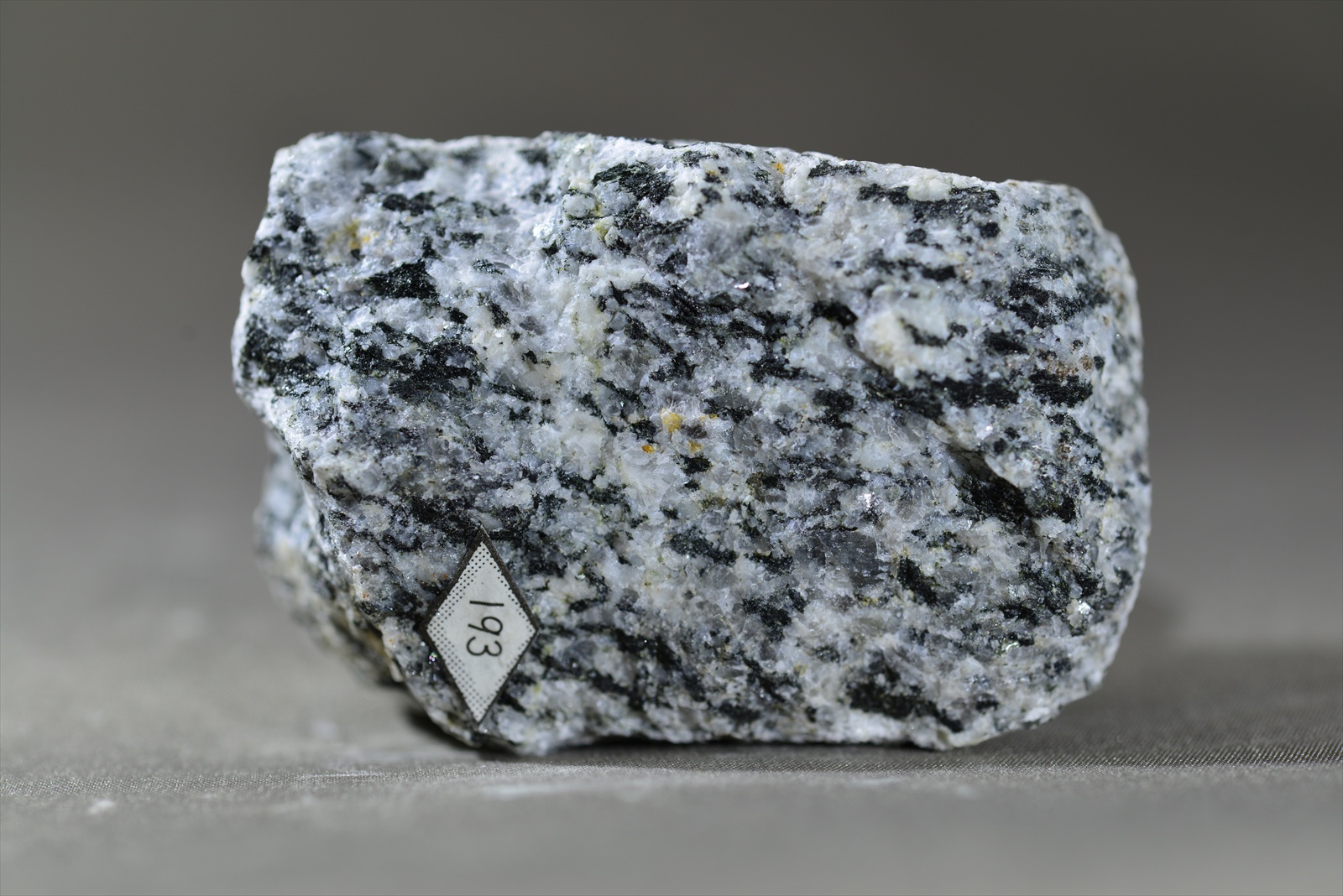 角閃石黒雲母片麻岩(Hornblend-biotite gnesis)