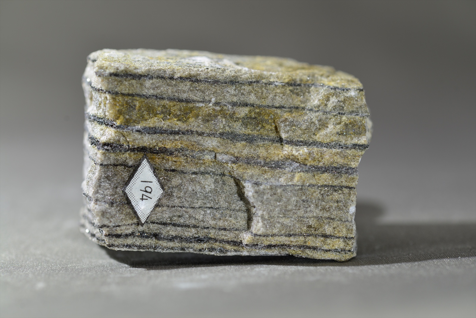 珪質縞状片麻岩(Siliceous banded gnesis)