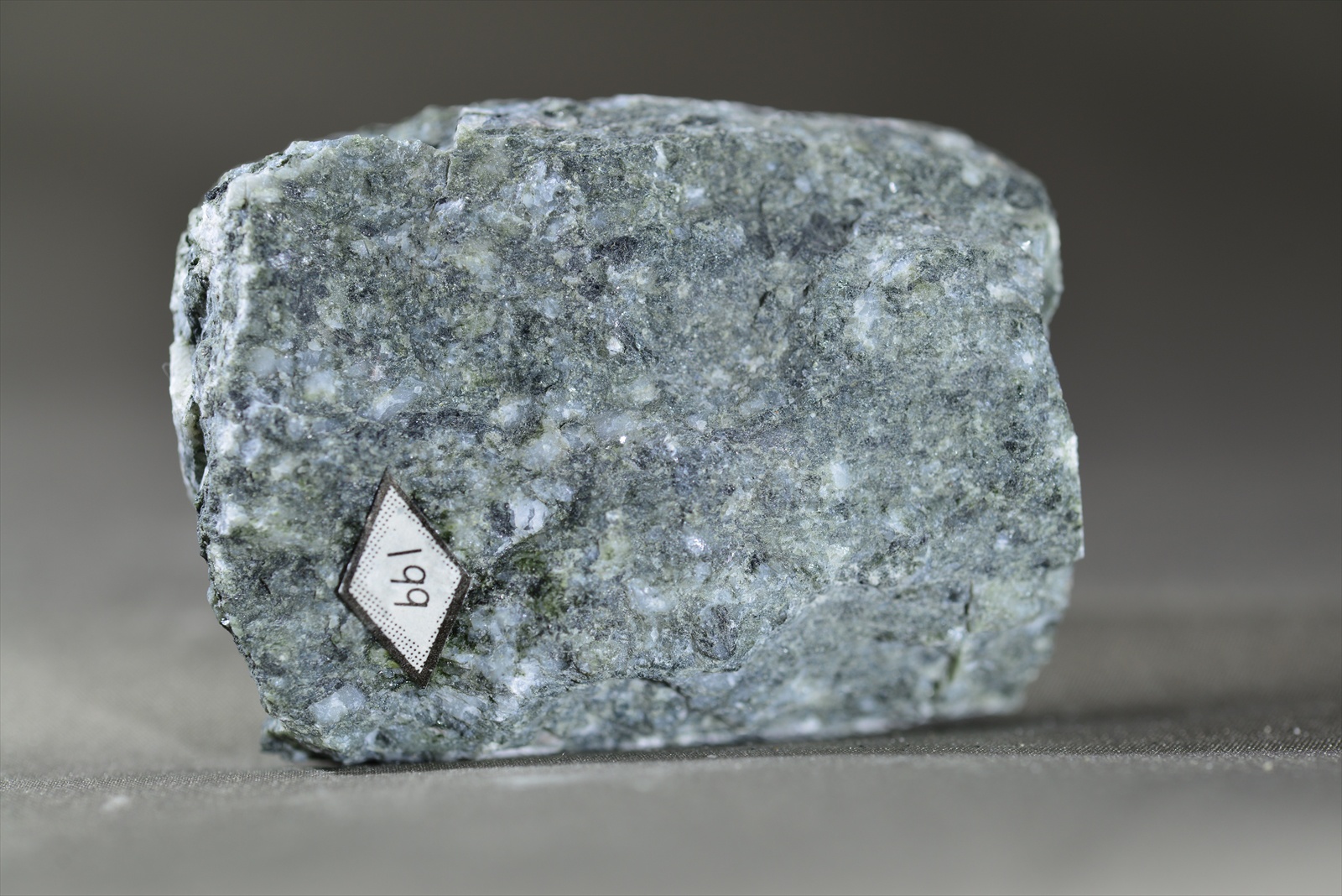 マイロナイト(鹿塩マイロナイト) Mylonite(Kashio mylonite)