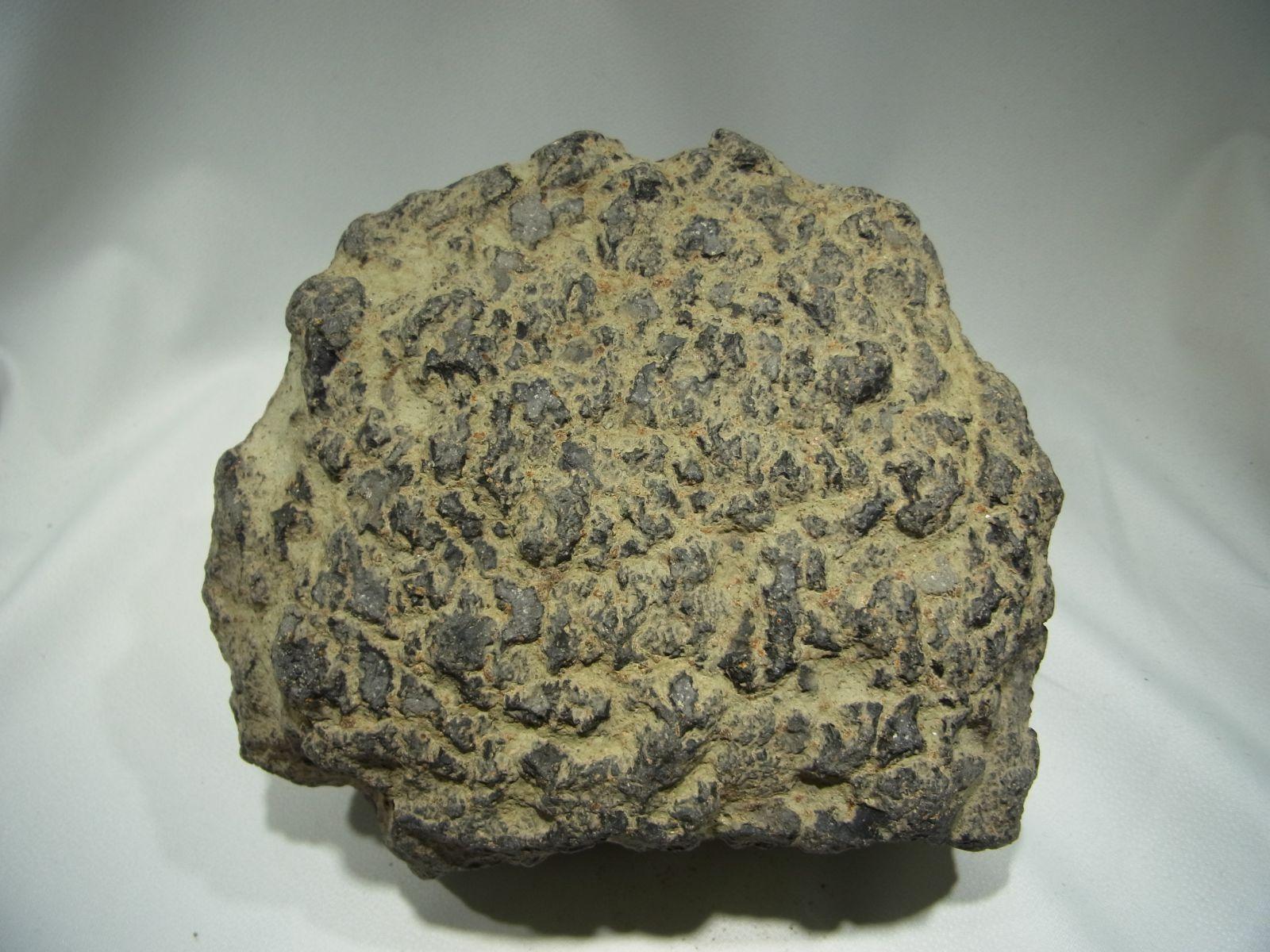 火山礫（ザクロ石入り？）(Volcanic Rock)