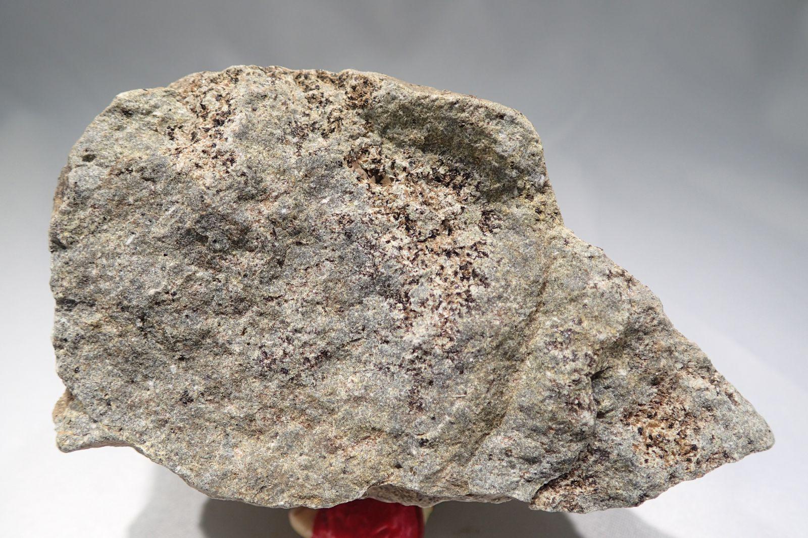 金雲母玄武岩 (Phlogopite Basalt)