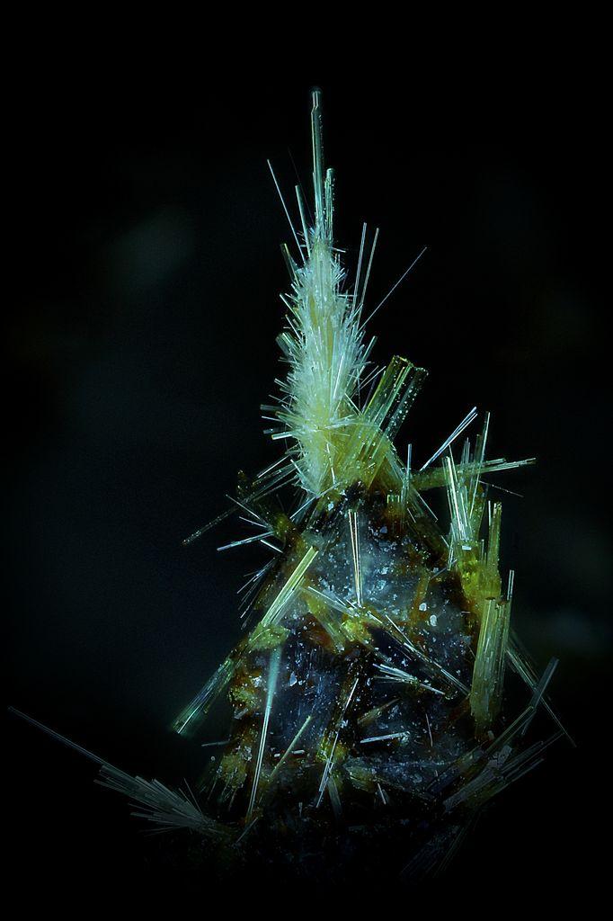 角閃石 (Amphibole)