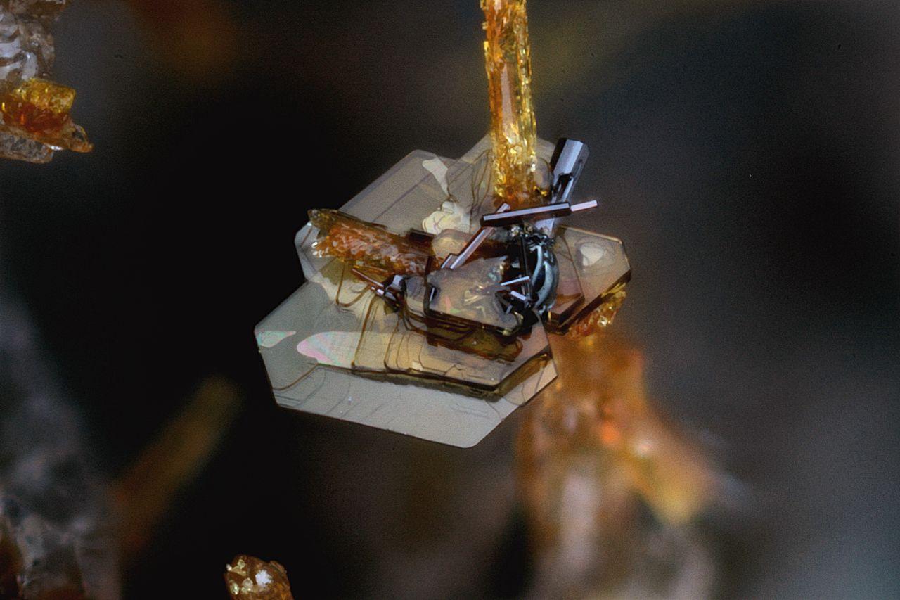 黒雲母 (Biotite)